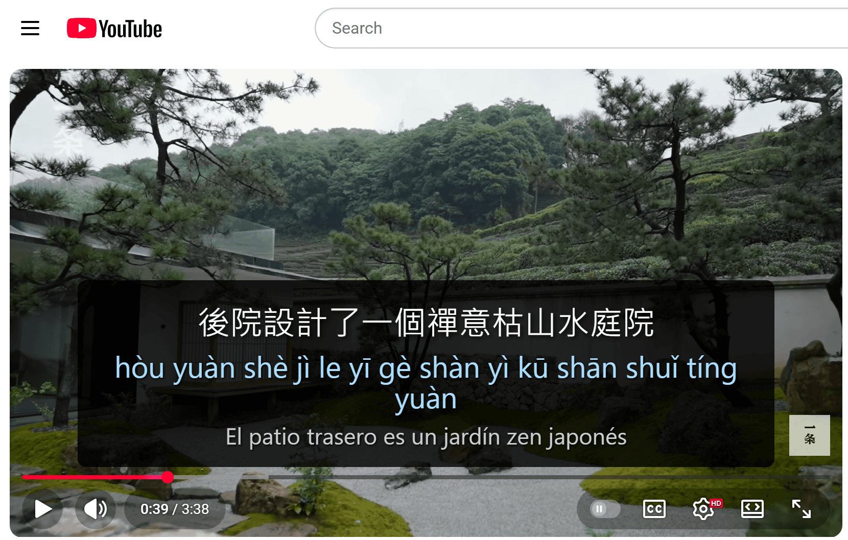 LingoPause Dual Subtitles on YouTube